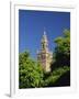 Giralda Framed by Orange Trees, Seville, Andalucia, Spain, Europe-Tomlinson Ruth-Framed Photographic Print