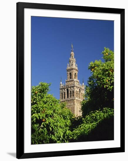 Giralda Framed by Orange Trees, Seville, Andalucia, Spain, Europe-Tomlinson Ruth-Framed Photographic Print