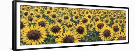 Girasoli (detail)-Tebo Marzari-Framed Art Print