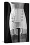 Girdle with Garters Displayed on Mannequin-Philip Gendreau-Stretched Canvas