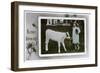 Girl About to Milk a Cow, Greetings Card, C1890-1910-null-Framed Giclee Print