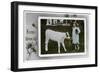 Girl About to Milk a Cow, Greetings Card, C1890-1910-null-Framed Giclee Print