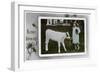 Girl About to Milk a Cow, Greetings Card, C1890-1910-null-Framed Giclee Print