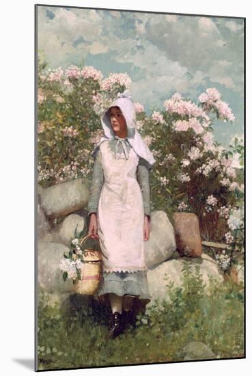 Girl and Laurel, 1879-Winslow Homer-Mounted Giclee Print