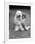 Girl and Sheepdog-null-Framed Photographic Print