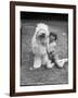 Girl and Sheepdog-null-Framed Photographic Print