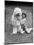 Girl and Sheepdog-null-Mounted Photographic Print