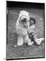 Girl and Sheepdog-null-Mounted Photographic Print