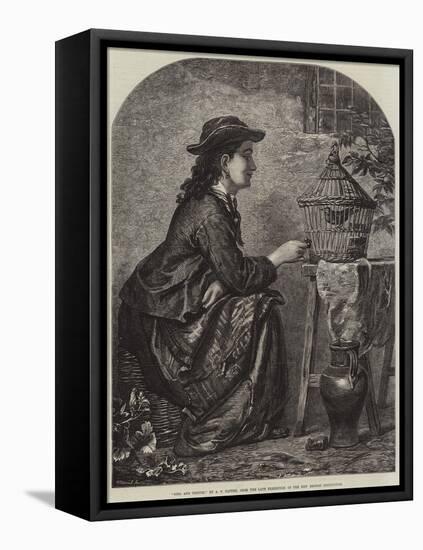 Girl and Thrush-null-Framed Stretched Canvas