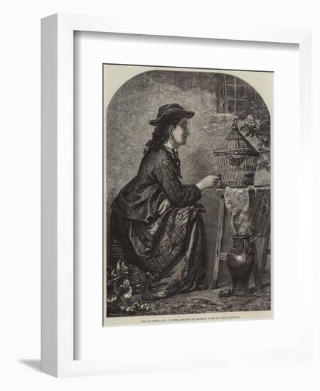 Girl and Thrush-null-Framed Giclee Print