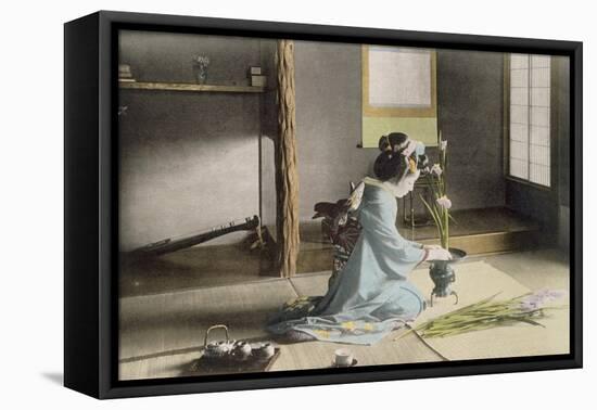 Girl Arranging Flowers (Hand Coloured Photo)-Japanese Photographer-Framed Stretched Canvas