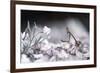 Girl Bedroom-Fabien Bravin-Framed Photographic Print