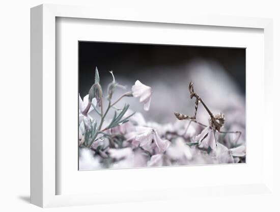 Girl Bedroom-Fabien Bravin-Framed Photographic Print