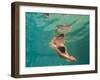 Girl Diving in the Swimming Pool-Netfalls Remy Musser-Framed Photographic Print