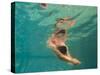 Girl Diving in the Swimming Pool-Netfalls Remy Musser-Stretched Canvas