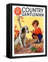 "Girl, Dog and Injured Bird," Country Gentleman Cover, November 1, 1935-Henry Hintermeister-Framed Stretched Canvas