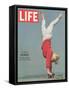 Girl Doing Handstand on Skateboard, May 14, 1965-Bill Eppridge-Framed Stretched Canvas