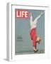 Girl Doing Handstand on Skateboard, May 14, 1965-Bill Eppridge-Framed Photographic Print