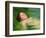 Girl Drifting, 2004-Lucinda Arundell-Framed Giclee Print