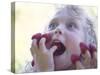 Girl Eating Raspberries, Bellingham, Washington, USA-Steve Satushek-Stretched Canvas