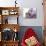 Girl Eating Raspberries, Bellingham, Washington, USA-Steve Satushek-Photographic Print displayed on a wall