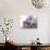 Girl Eating Raspberries, Bellingham, Washington, USA-Steve Satushek-Photographic Print displayed on a wall