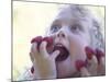 Girl Eating Raspberries, Bellingham, Washington, USA-Steve Satushek-Mounted Photographic Print