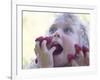 Girl Eating Raspberries, Bellingham, Washington, USA-Steve Satushek-Framed Photographic Print