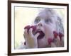 Girl Eating Raspberries, Bellingham, Washington, USA-Steve Satushek-Framed Photographic Print