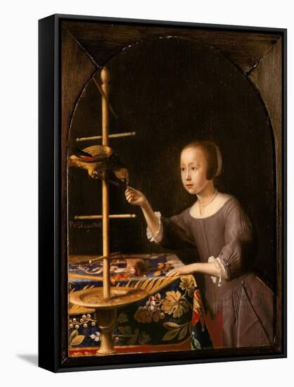 Girl Feeding a Parrot-Pieter Van Steenwyck-Framed Stretched Canvas