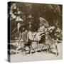 Girl Feeding Sacred Deer on Her Way to Prayers, Grounds of Kasuga Temple, Nara, Japan, 1904-Underwood & Underwood-Stretched Canvas