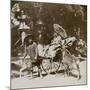 Girl Feeding Sacred Deer on Her Way to Prayers, Grounds of Kasuga Temple, Nara, Japan, 1904-Underwood & Underwood-Mounted Photographic Print