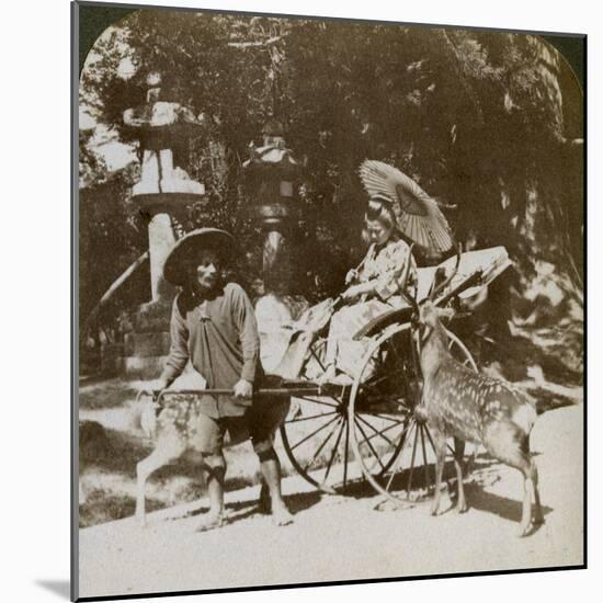 Girl Feeding Sacred Deer on Her Way to Prayers, Grounds of Kasuga Temple, Nara, Japan, 1904-Underwood & Underwood-Mounted Photographic Print