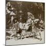 Girl Feeding Sacred Deer on Her Way to Prayers, Grounds of Kasuga Temple, Nara, Japan, 1904-Underwood & Underwood-Mounted Photographic Print