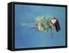 Girl Floating, 2004-Lucinda Arundell-Framed Stretched Canvas