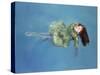 Girl Floating, 2004-Lucinda Arundell-Stretched Canvas