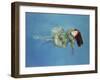 Girl Floating, 2004-Lucinda Arundell-Framed Giclee Print