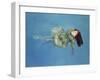 Girl Floating, 2004-Lucinda Arundell-Framed Giclee Print