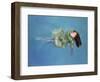 Girl Floating, 2004-Lucinda Arundell-Framed Giclee Print