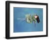 Girl Floating, 2004-Lucinda Arundell-Framed Giclee Print