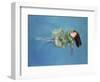 Girl Floating, 2004-Lucinda Arundell-Framed Giclee Print