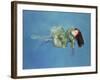 Girl Floating, 2004-Lucinda Arundell-Framed Giclee Print