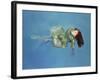 Girl Floating, 2004-Lucinda Arundell-Framed Giclee Print