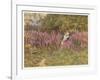 Girl Gathering Sticks in Kent Walks Through a Mass of Foxgloves-Helen Allingham-Framed Art Print