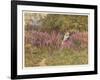 Girl Gathering Sticks in Kent Walks Through a Mass of Foxgloves-Helen Allingham-Framed Art Print