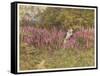 Girl Gathering Sticks in Kent Walks Through a Mass of Foxgloves-Helen Allingham-Framed Stretched Canvas