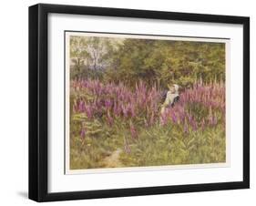 Girl Gathering Sticks in Kent Walks Through a Mass of Foxgloves-Helen Allingham-Framed Art Print