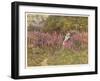 Girl Gathering Sticks in Kent Walks Through a Mass of Foxgloves-Helen Allingham-Framed Art Print