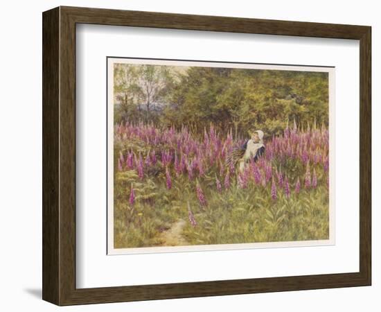 Girl Gathering Sticks in Kent Walks Through a Mass of Foxgloves-Helen Allingham-Framed Art Print