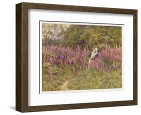 Girl Gathering Sticks in Kent Walks Through a Mass of Foxgloves-Helen Allingham-Framed Art Print